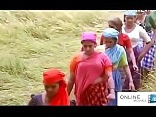 Mallu aunty kanakalatha hot boobs desi aunty3